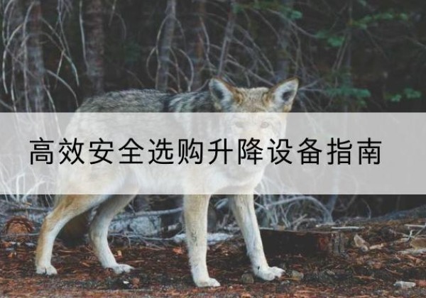 袁州升降货梯厂家推荐-*安全选购升降设备指南