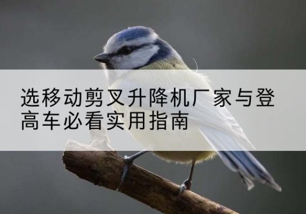 袁州电动升降机厂家-选移动剪叉升降机厂家与登高车必看实用指南