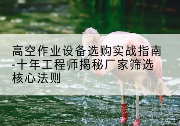 袁州剪叉式升降机厂家-高空作业设备选购实战指南-十年工程师揭秘厂家筛选核心法则